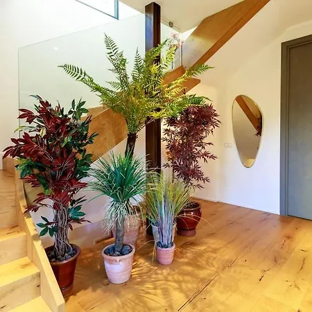 Luxury Villa Nice